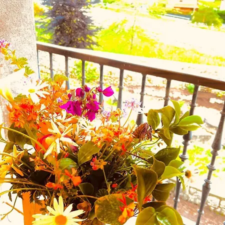 El Miruendano * La Franca