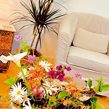 El Miruendano Apartment