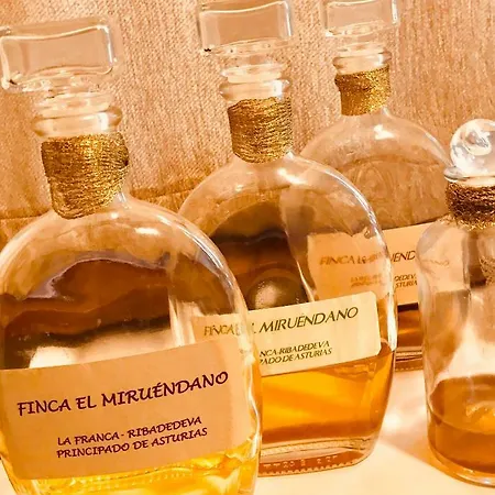 El Miruendano Apartment