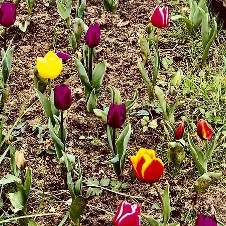 Apartment El Miruendano *