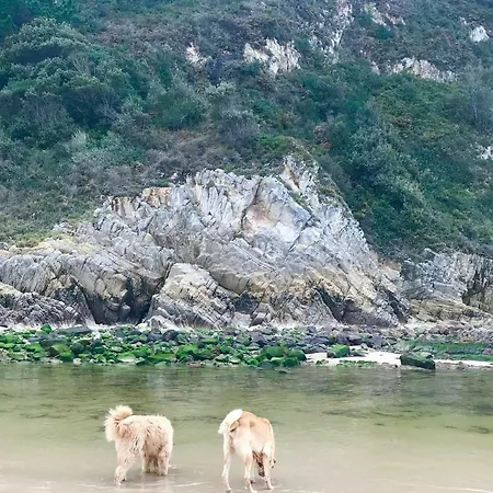 El Miruéndano * La Franca