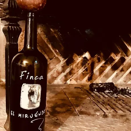 Διαμέρισμα El Miruendano *